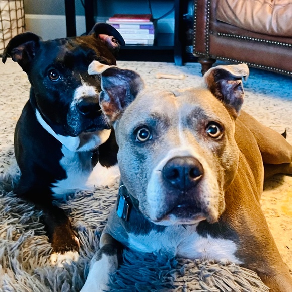 Meet your Posher, Angela - Picture 1 of 1